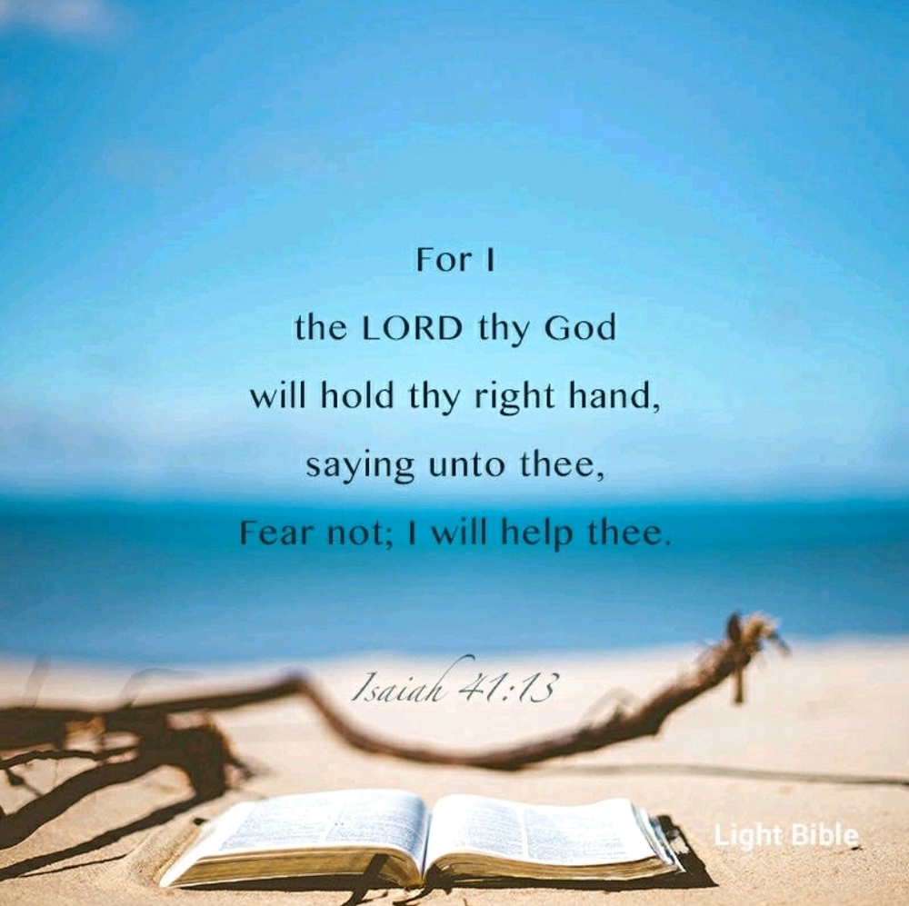 Meet your Posher, Lili